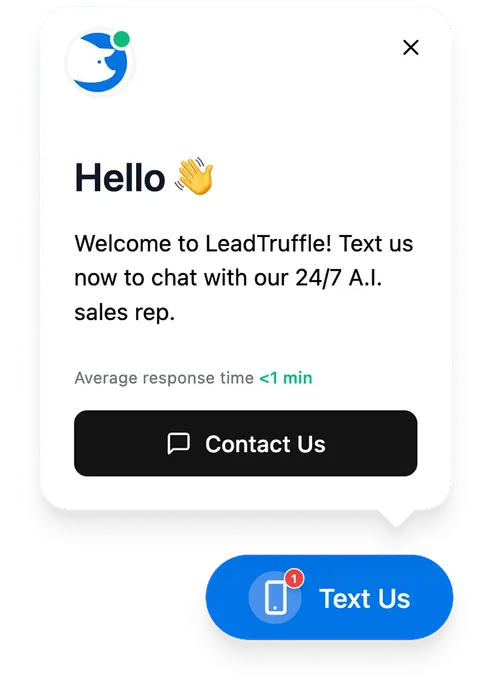LeadTruffle chat widget example